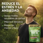 ashwagandha reduce ansiedad